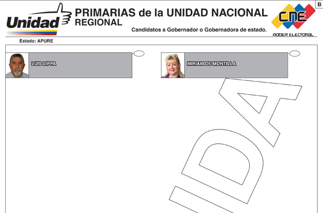 tarjeton-primarias-apure