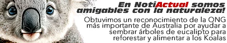 NOTIACTUAL AYUDA A LOS KOALAS