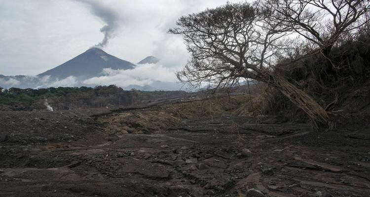 Guatemala sube a 332 cifra de desaparecidos por erupción