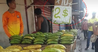 PLATANOS A 2 DOLARES EN MARACAIBO VENEZUELA