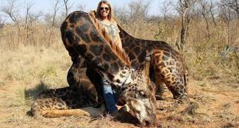 Tess Thompson Talley la gringa asesina sádica de jirafas negras