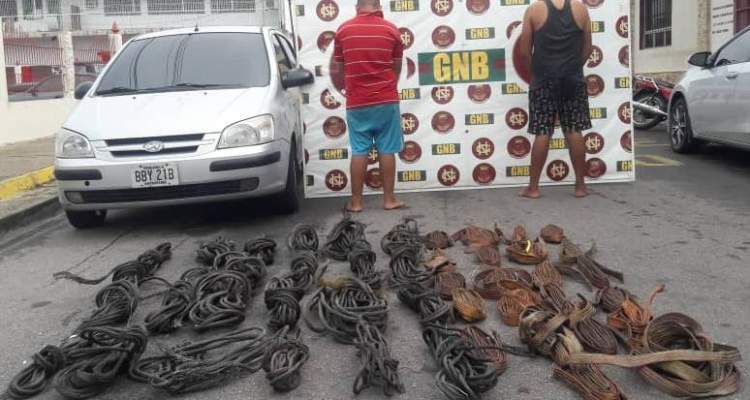 GNB aprehendió a dos ciudadanos por contrabando de material estratégico en el estado Bolívar