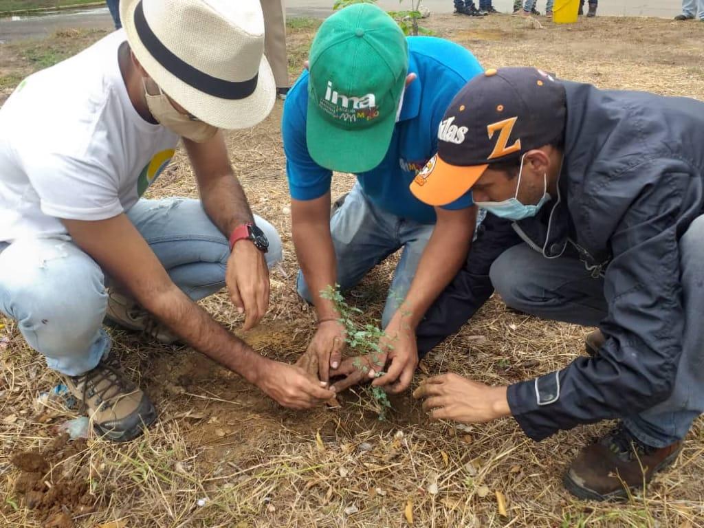 Con una jornada ecosocialista la Alcaldía de Maracaibo celebró el Día del Árbol