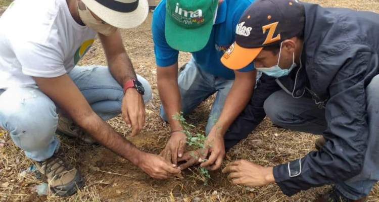 Con una jornada ecosocialista la Alcaldía de Maracaibo celebró el Día del Árbol