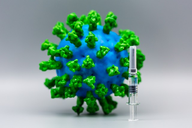 Vacuna anticovid cual funciona