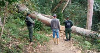 GNB paralizó tala de vegetación en El Jarillo (2)