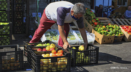 ALIMENTOS FAO VENEZUELA