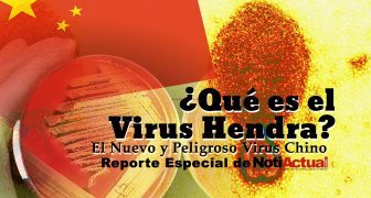 Qué es el Virus Hendra