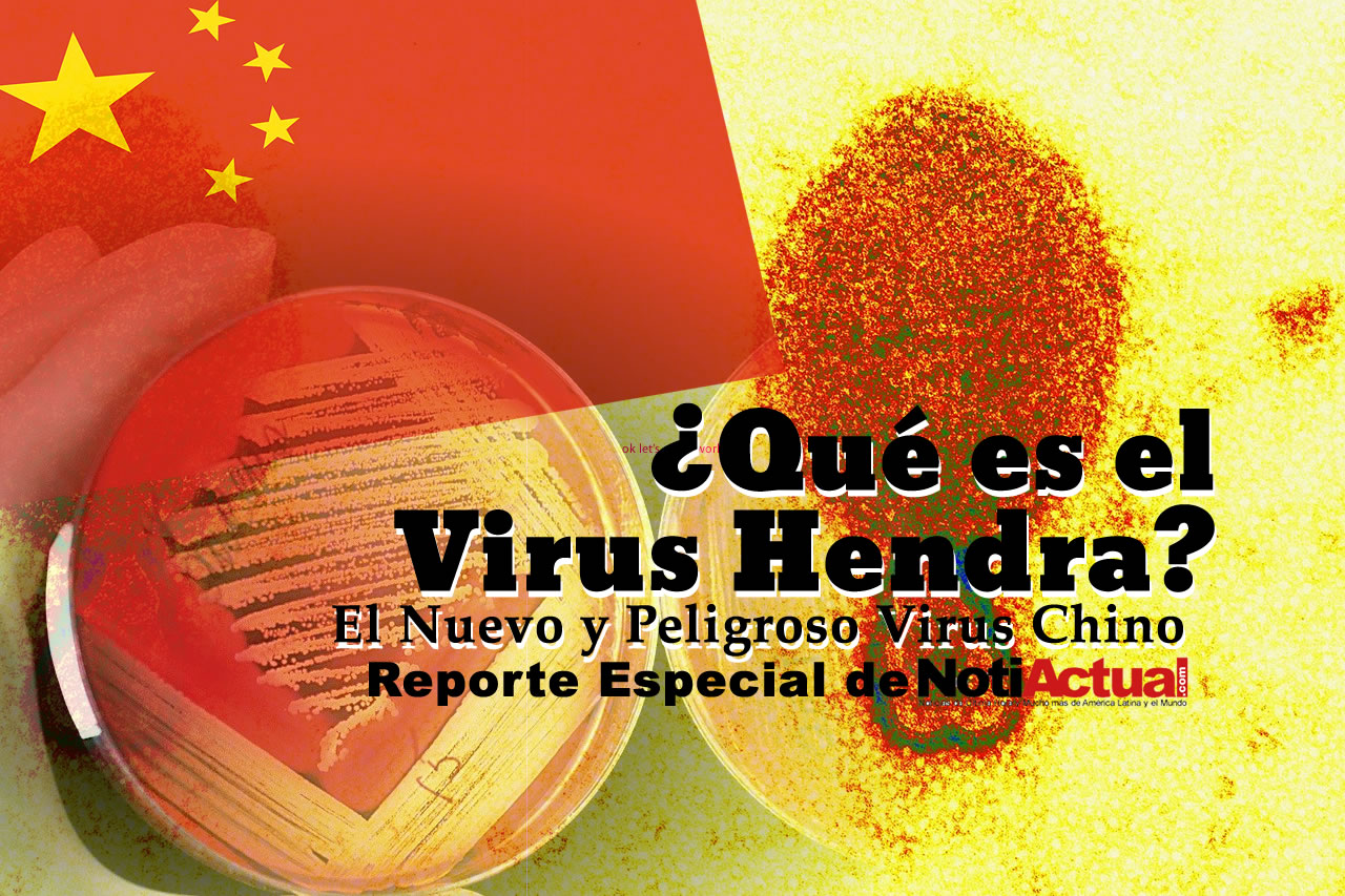 Qué es el Virus Hendra