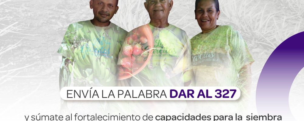 Web_CampañaDAR_ConexiónSocialDigitel