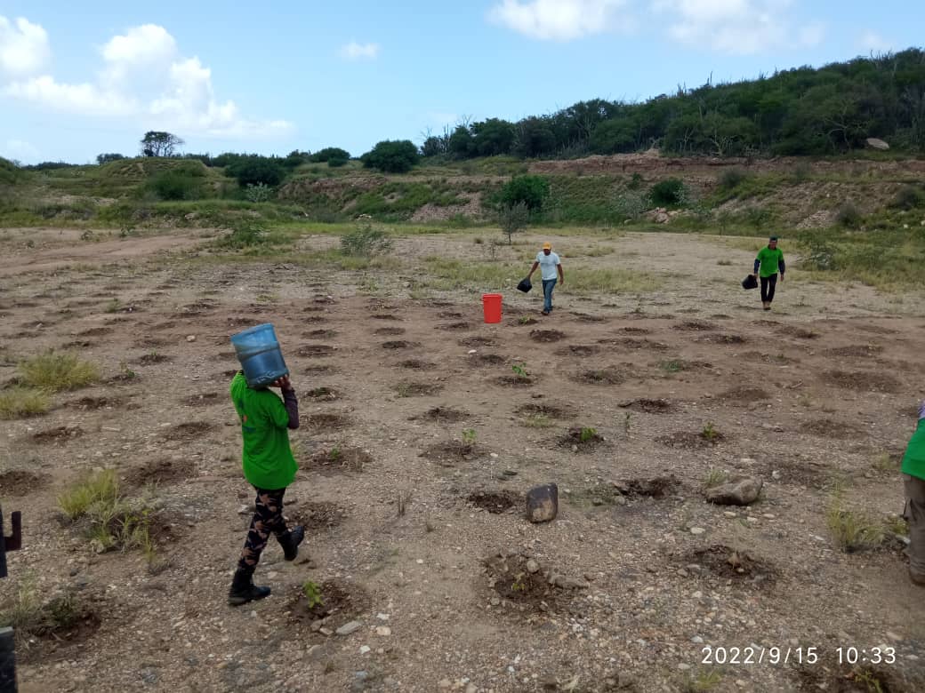 4 mil plantas serán sumadas al bosque seco de Macanao, en el 2022 con la implementación del Pland e Restauración Ecológica
