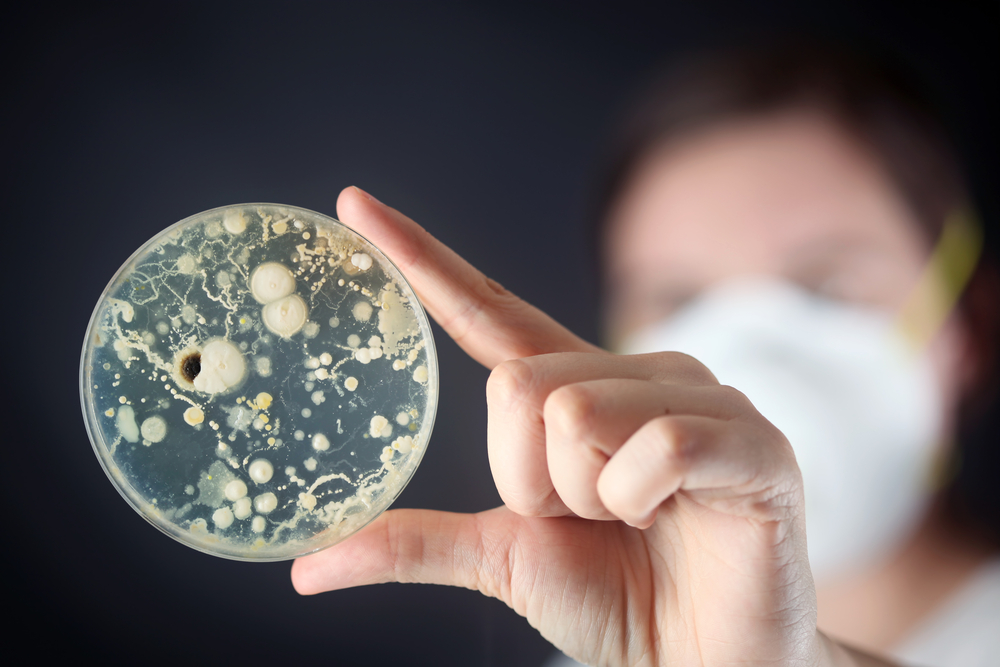 Infecciones bacterianas en humanos Depositphotos con licencia para notiactual com