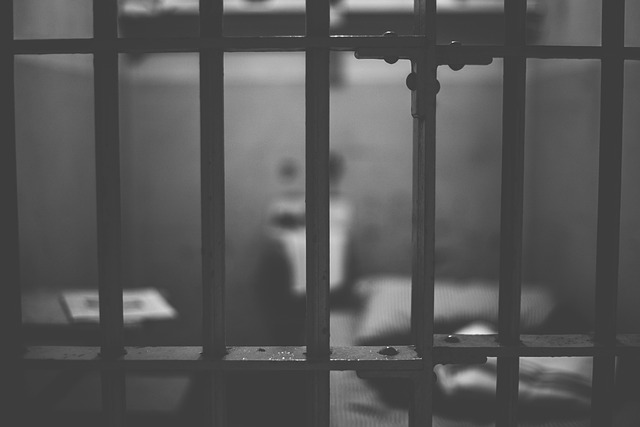 criminologia-estudio-delincuente.jpg