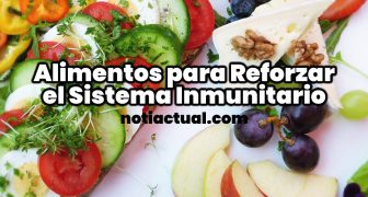 CUALES SON LOS alimentos para reforzar el sistema inmunitario