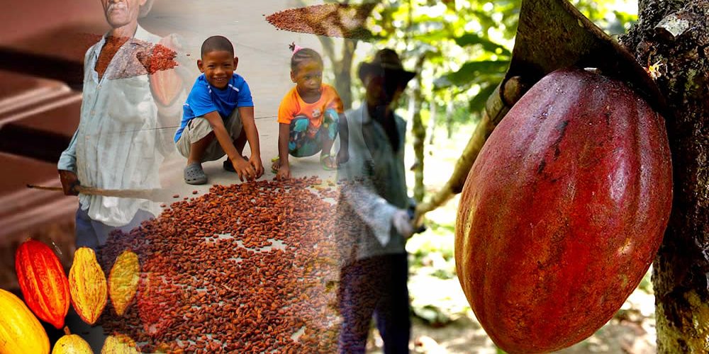 El Cacao y su Entorno Patrimonio Histórico y Cultural Nación