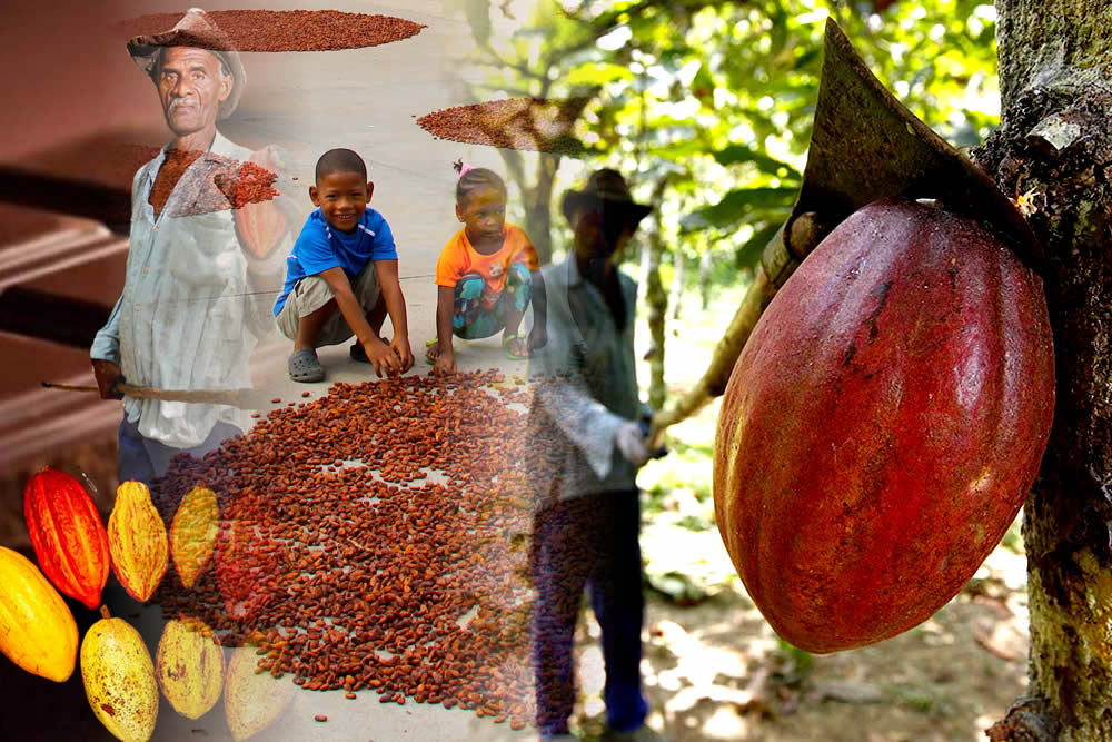 El Cacao y su Entorno Patrimonio Histórico y Cultural Nación