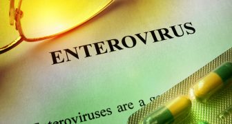 OMS alerta sobre Infección por enterovirus en Francia