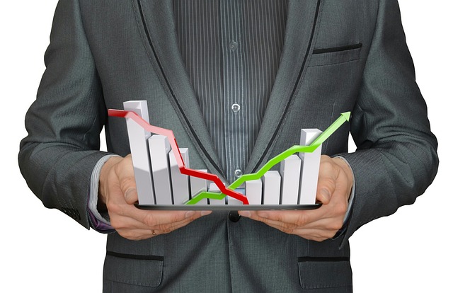 INVERSIONES MERCADOS FINANCIEROS