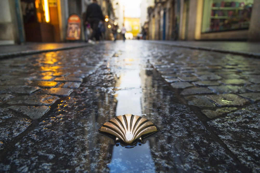 Recorrido Turístico por Santiago de compostela