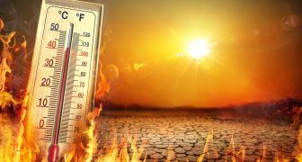 2023 podría ser el año más caluroso de la historia
