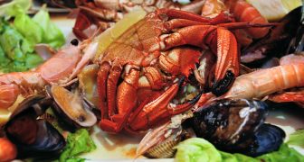 comidas saludables que puedes encontrar en La Coruña