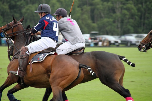 POLO en Sankt Moritz
