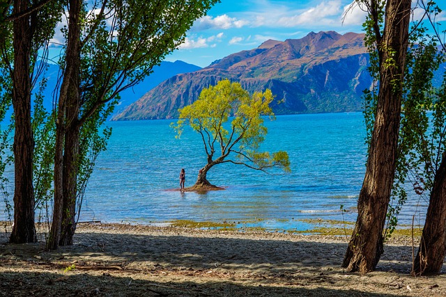 Nueva zelanda, Wanaka y Lago wanaka