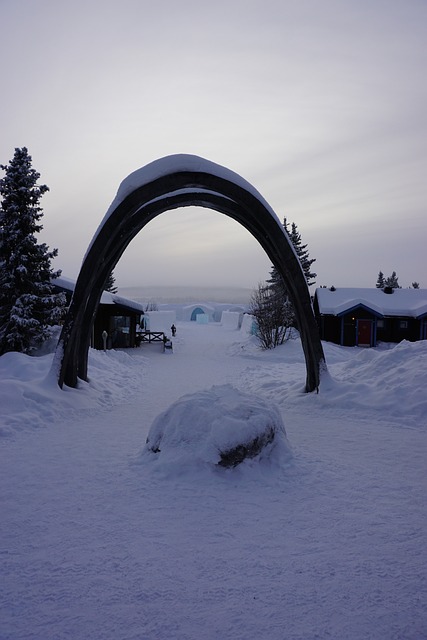 Tour por Kiruna en enero 2024 