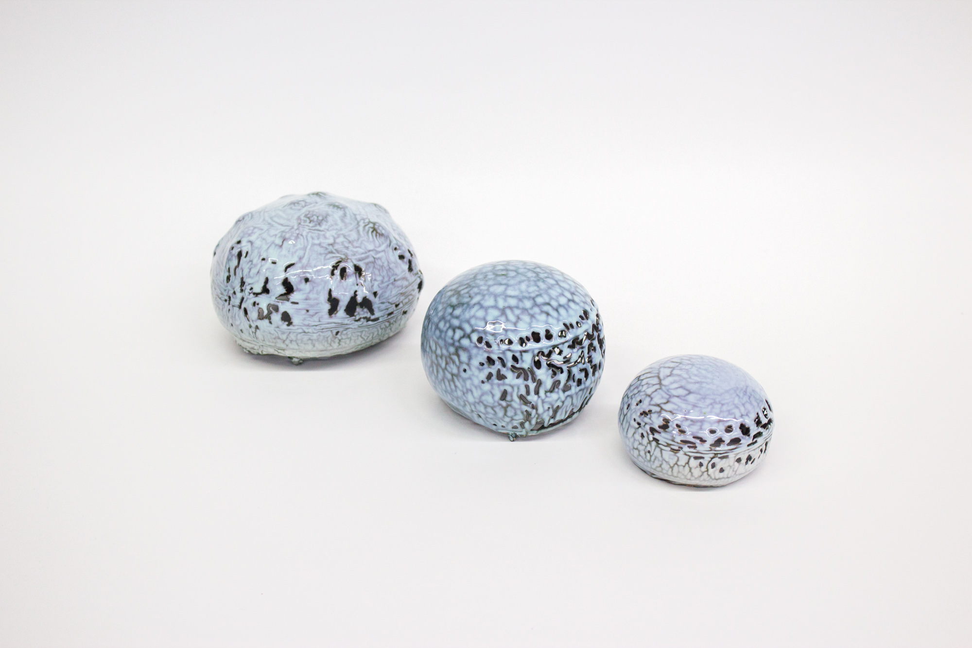 Lithops 28