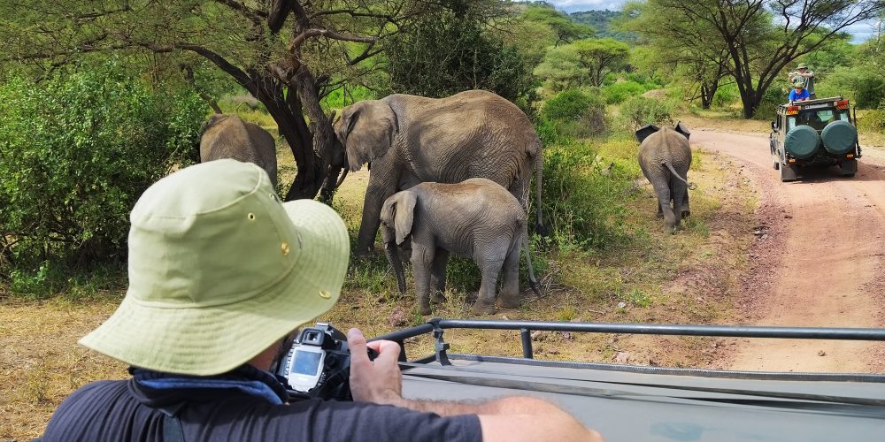 Tourists on game drive taking pictures of elephants in Lake Manyara National Park, Tanzania, Africa