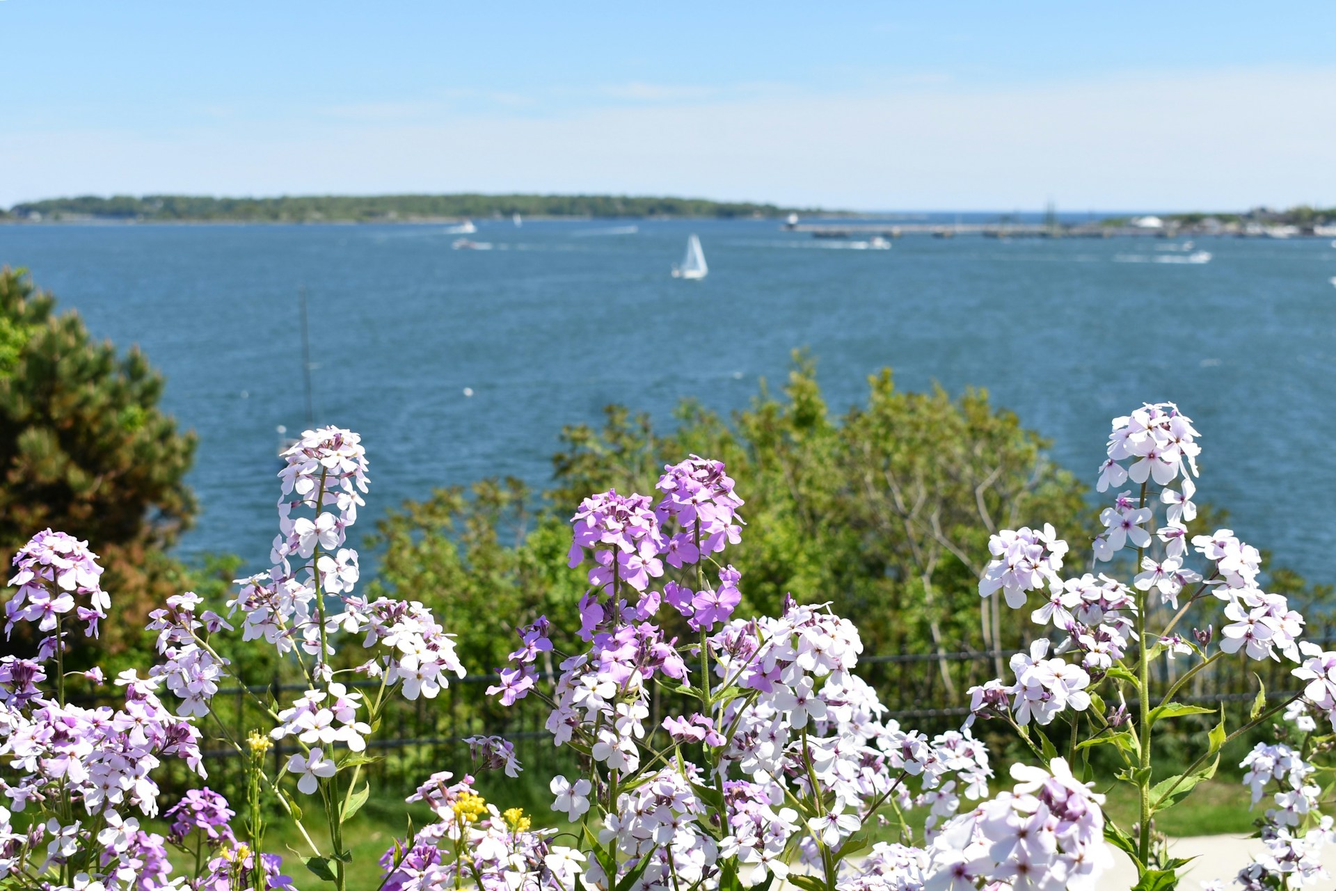 Auburn Maine