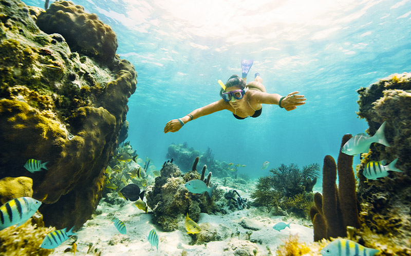 Snorkel en isla Mujeres