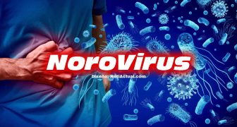 norovirus