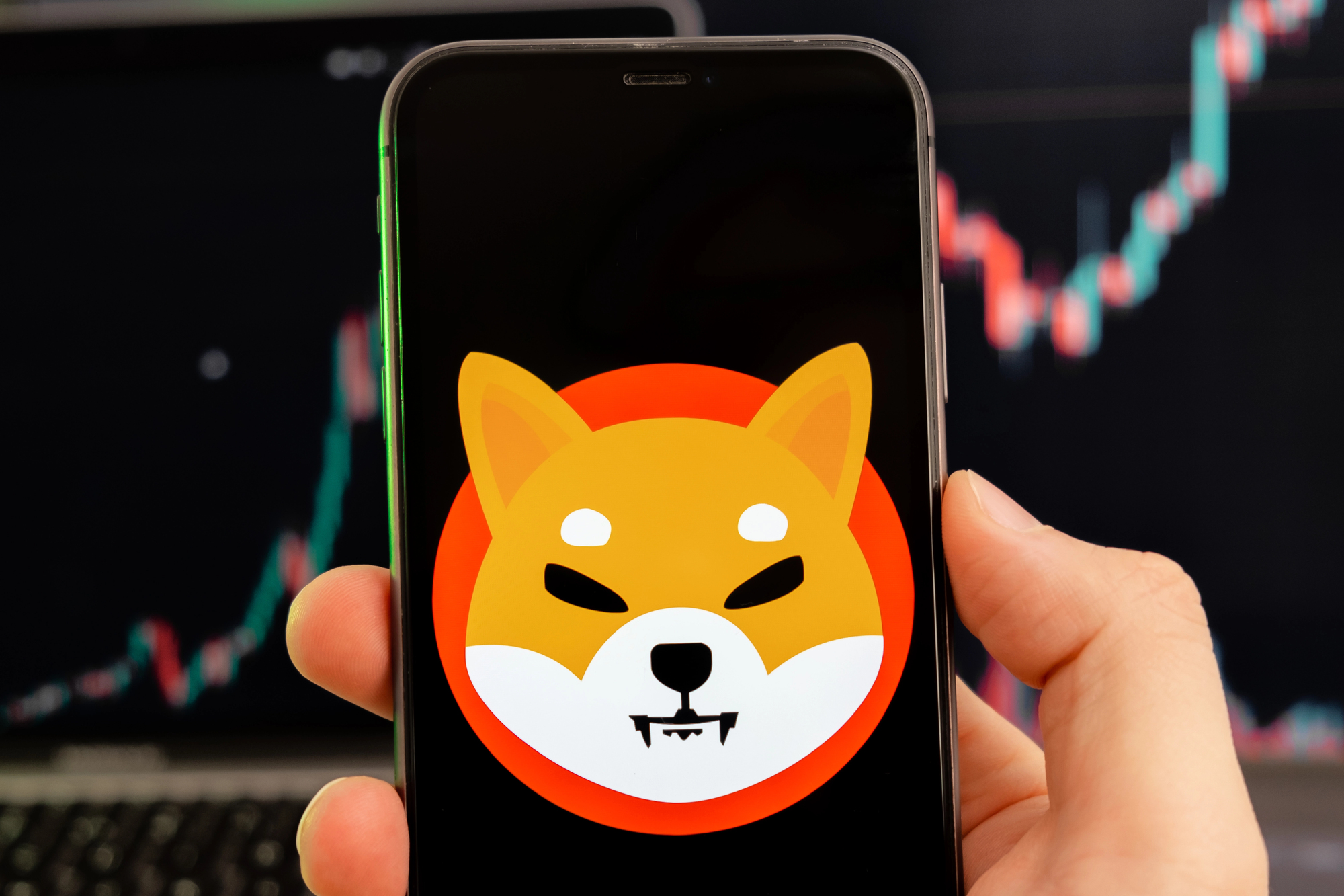 Tutorial sobre la criptomoneda Shiba Inu NotiActual