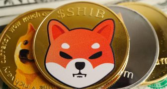 Tutorial sobre la criptomoneda Shiba Inu NotiActual