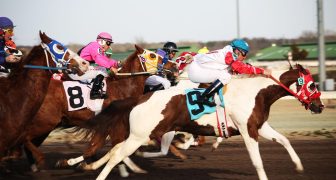 Importancia del Análisis Estadístico en la Apuestas Deportivas