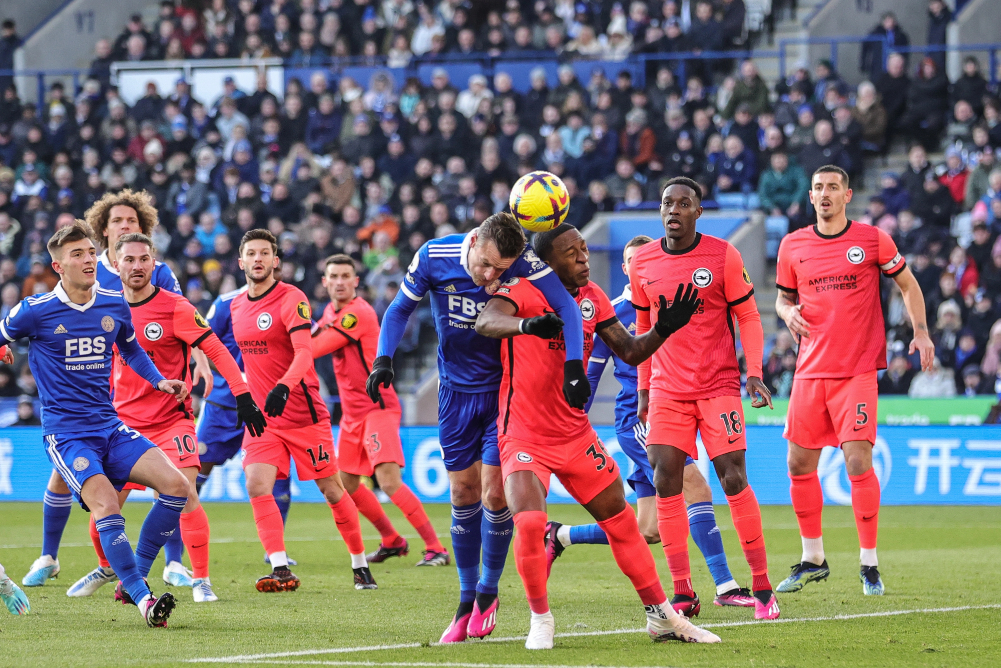 NotiActual Brighton & Hove Albion