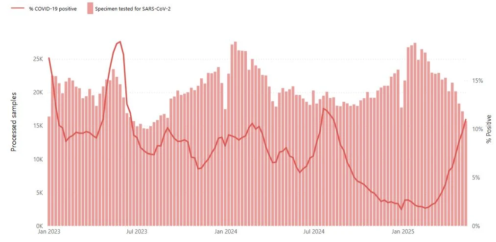 Figura 1. Muestras analizadas de SARS-CoV-2 y porcentaje de positivos informados desde los sitios centinela a eGISRS de países, áreas y territorios desde enero de 2023 hasta mayo de 2025**Los datos de la semana más reciente podrían estar incompletos. Fuente: Programa Mundial contra la Gripe.