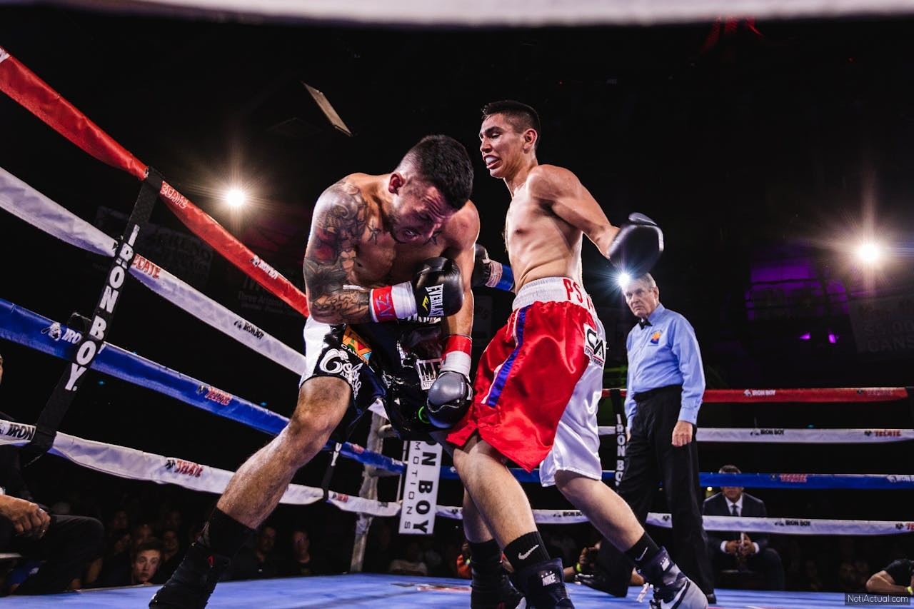 Boxeo